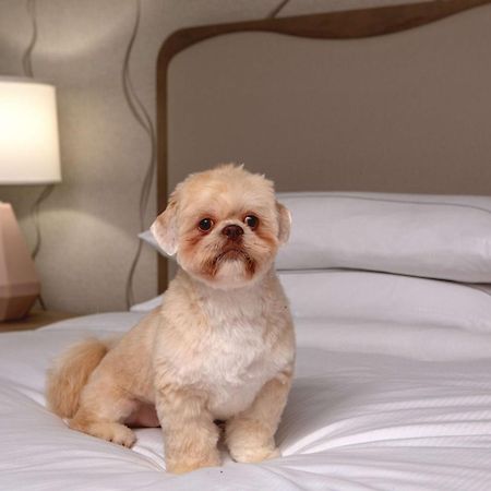 Doubletree By Hilton Hotel And Conference Center Chicago North Shore Скоки Екстериор снимка